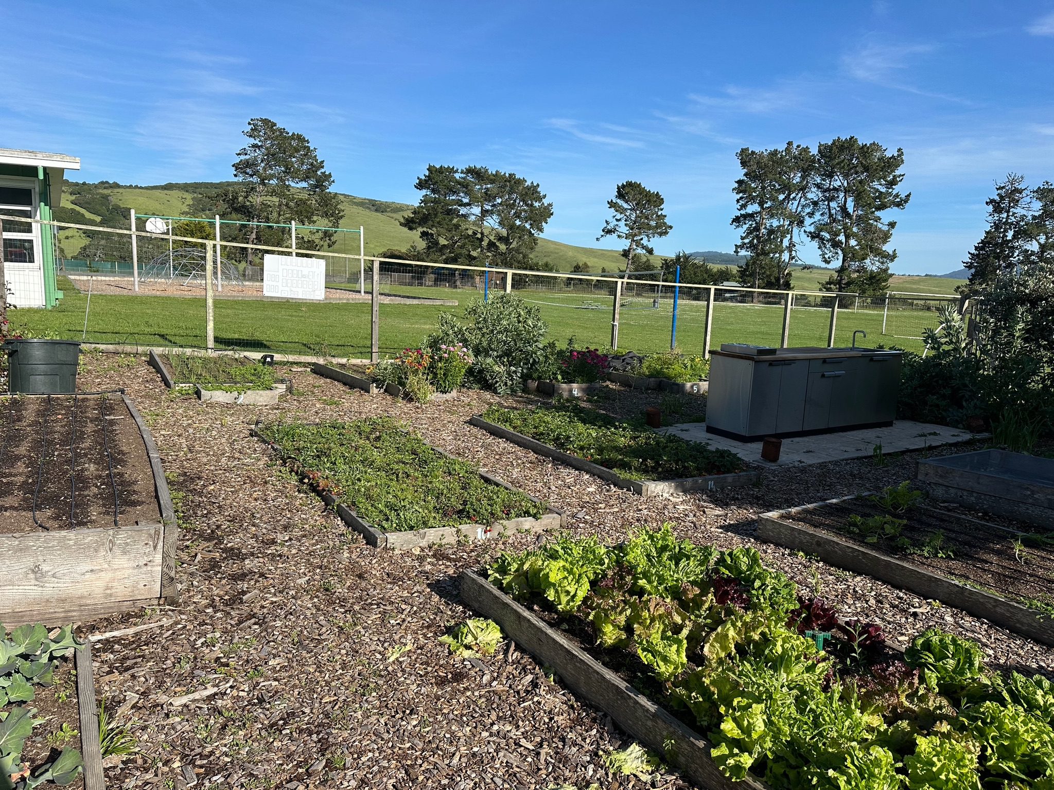 and outdoor kitchen at a West Marin school